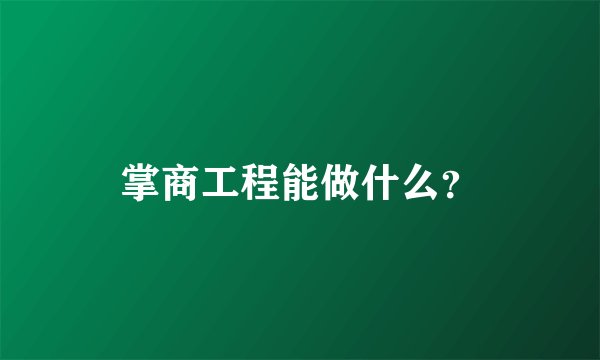 掌商工程能做什么？