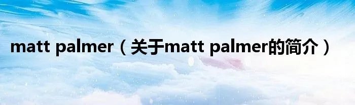 matt palmer（关于matt palmer的简介）