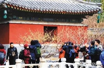 北京有哪些地方适合春游?