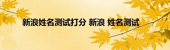 新浪姓名测试打分 新浪 姓名测试