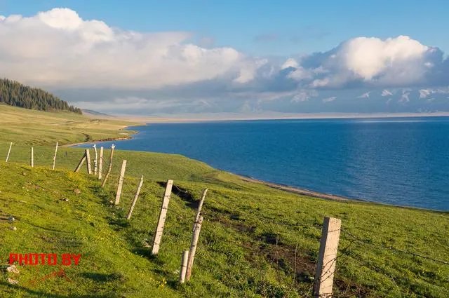 中国哪个草原最漂亮？最值得一去？