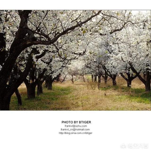 北京有哪些地方适合春游?