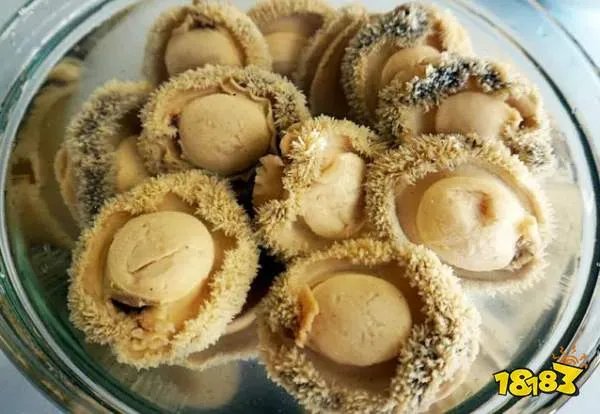 人们吃鲍鱼主要是吃它的什么部位_今天蚂蚁庄园答案