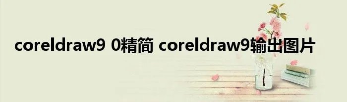coreldraw9 0精简 coreldraw9输出图片