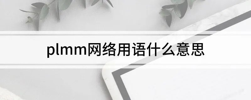 plmm网络用语什么意思