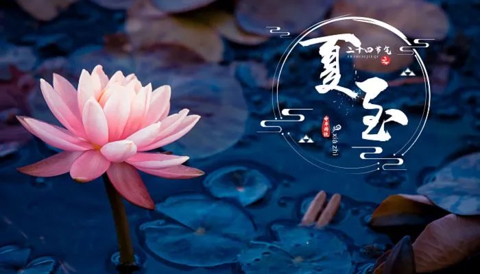 与夏至有关的优美诗句