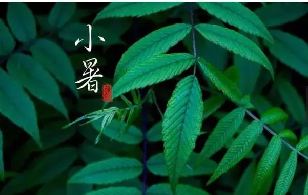 二十四节气图一套 美得令人窒息的二十四节气图