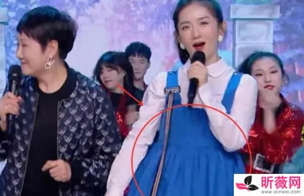 谢娜怀二胎是真的吗 这两大细节就足以证明