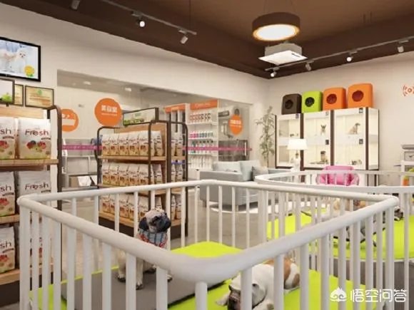 怎么制定宠物店投资创业方案？