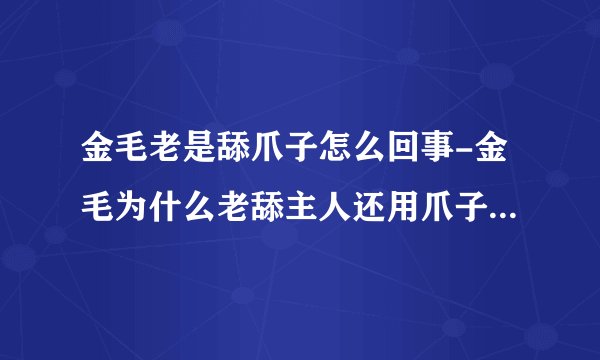 金毛老是舔爪子怎么回事-金毛为什么老舔主人还用爪子挠主人咋回事？